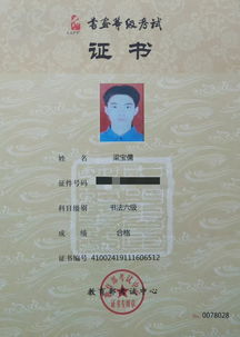 2019年上半年中國(guó)書(shū)畫(huà)等級(jí)考試成績(jī)揭曉 傳承與創(chuàng)新共舞